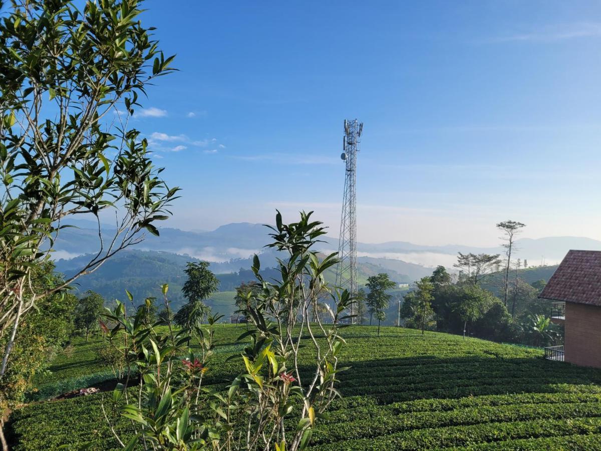 Cloud Canopy - Tea Garden Family Pool Cottage In Vagamon Eksteriør bilde