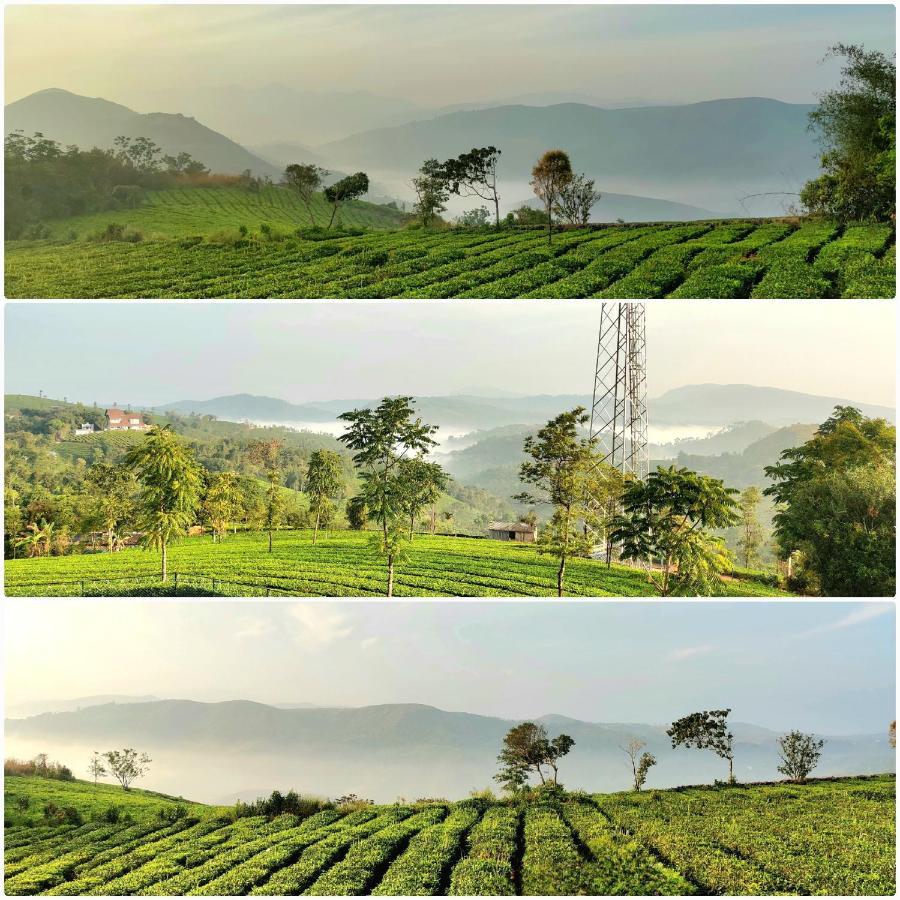 Cloud Canopy - Tea Garden Family Pool Cottage In Vagamon Eksteriør bilde