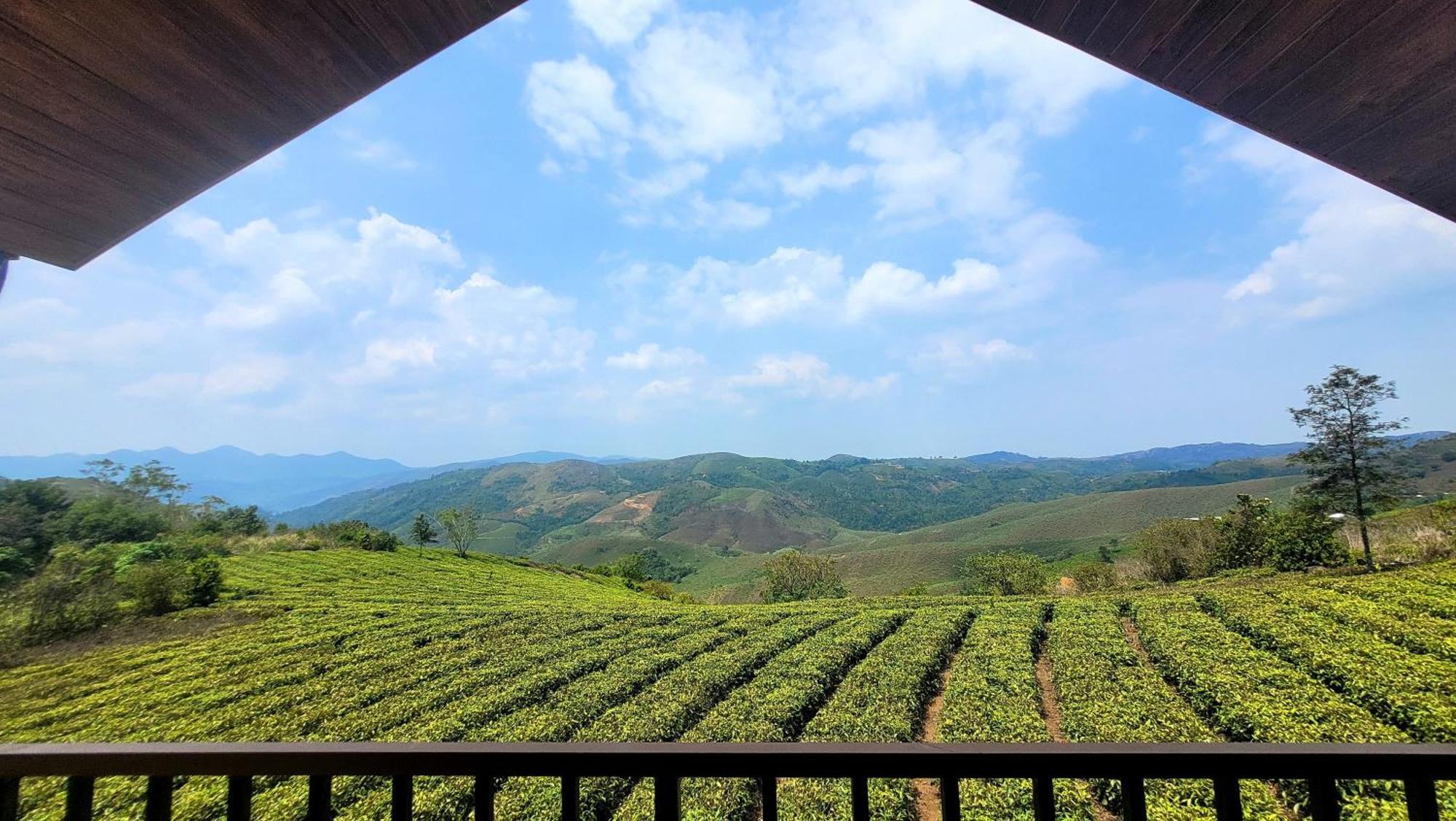 Cloud Canopy - Tea Garden Family Pool Cottage In Vagamon Eksteriør bilde